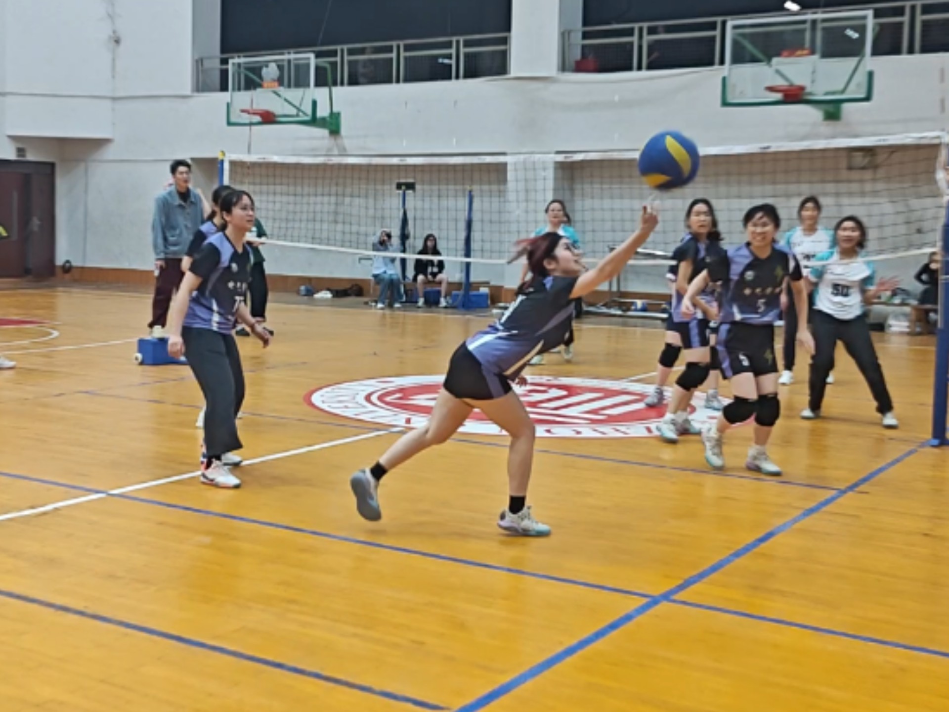 乐鱼注册-全国排球联赛，激情拼搏共追梦想的简单介绍