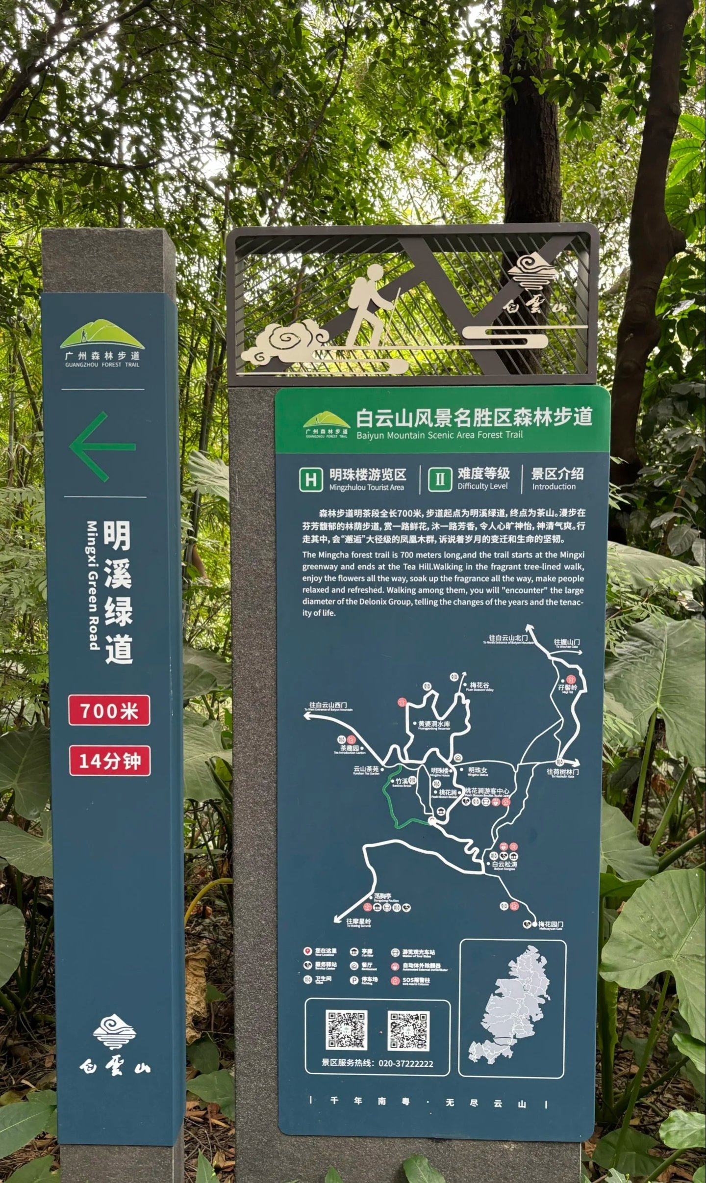 乐鱼体育登录-高山植物探索行，结合运动与科普教育的简单介绍