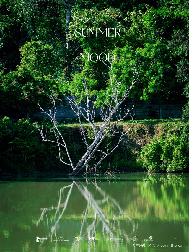 乐鱼体育平台-特色山林迷宫穿越，运动与智趣结合的趣味盛会的简单介绍