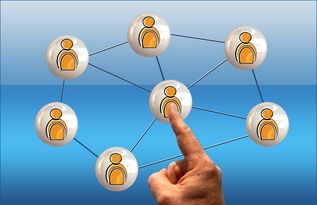 乐鱼体育线上-世界足球推广：南南合作助力新兴市场崛起，南亚足球强国