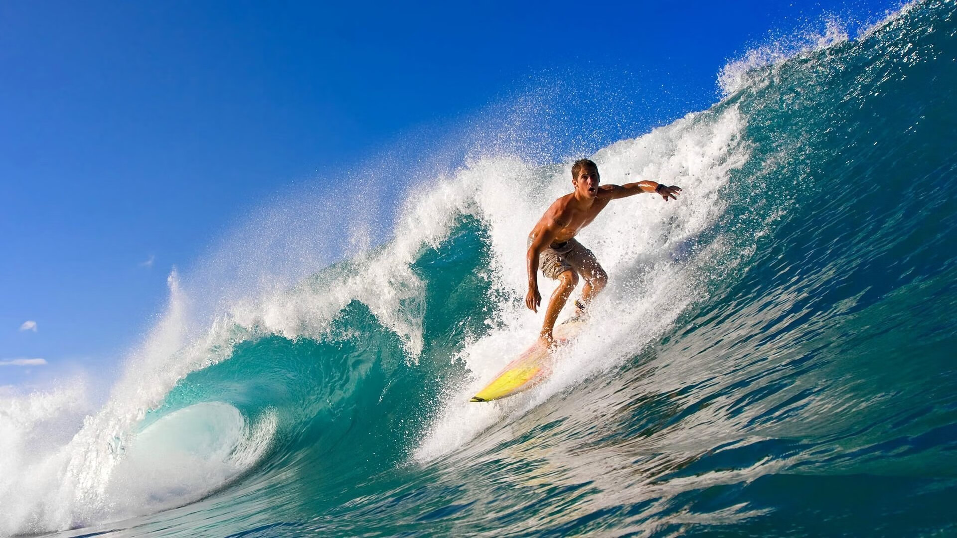 乐鱼体育下载-水球关键场次突尼斯团结应对